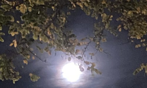 Vollmond über München 17.10.2024