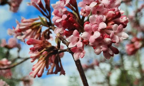 IMG-20260404-WA0000[1]